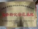 荣誉牌匾