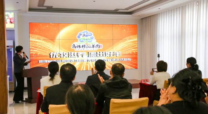 乌珠穆沁羊肉溯源发布会